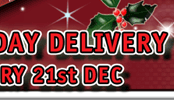 show plates for xmas